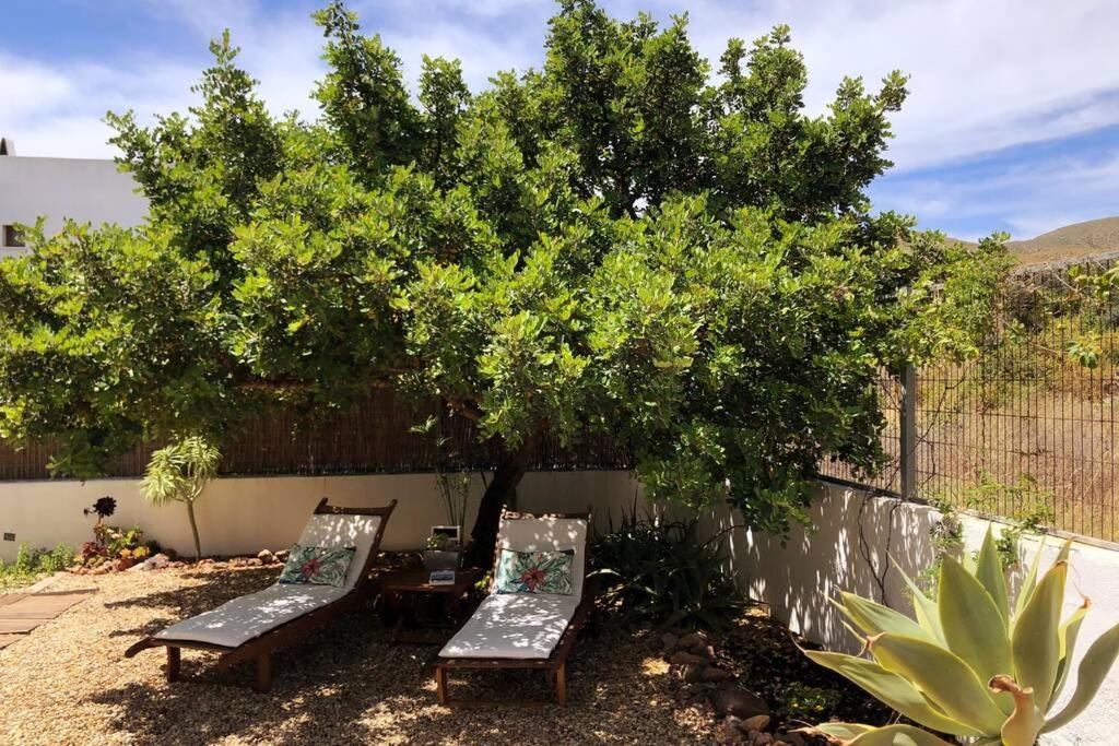Casa Granado En Cabo De Gata Villa Rodalquilar Eksteriør bilde