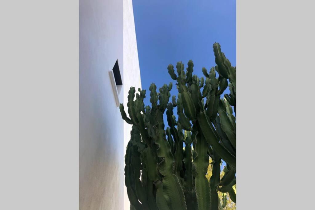 Casa Granado En Cabo De Gata Villa Rodalquilar Eksteriør bilde